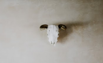 Unsplash ID 03gKtWiDvLU