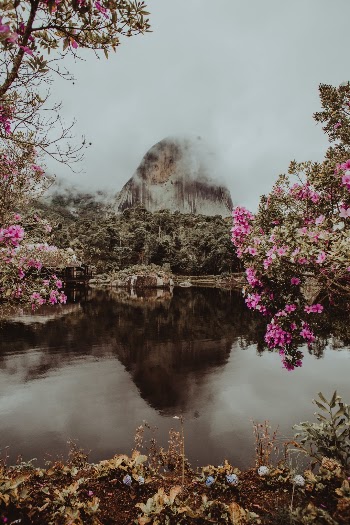 Unsplash ID 03pJ7S8z5rM