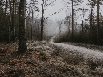 Unsplash ID 03sV2dG0ttA