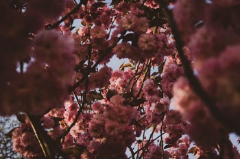 Unsplash ID 08b7L31mGpI