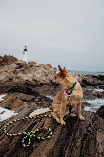 Unsplash ID 08NuTokjPUg
