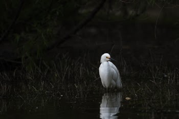 Unsplash ID 0aKcuV5znqw