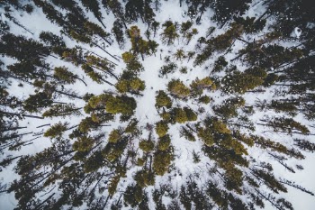Unsplash ID 0aYkdo3XfYo