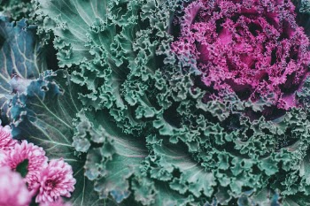 Unsplash ID 0e7zpLLKSzA