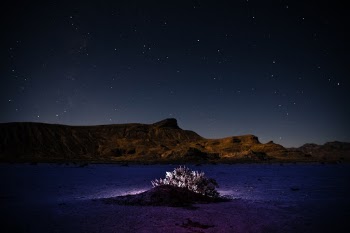 Unsplash ID 0ex5ixoTnRw