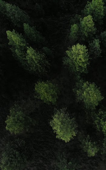 Unsplash ID 0GlH2KooS6Q