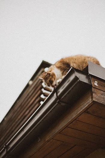 Unsplash ID 0Isix5BusbM