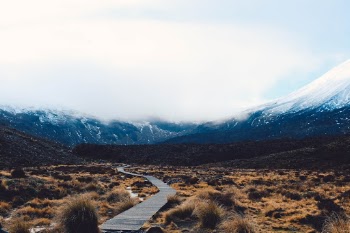 Unsplash ID 0LbM9MyjdDs