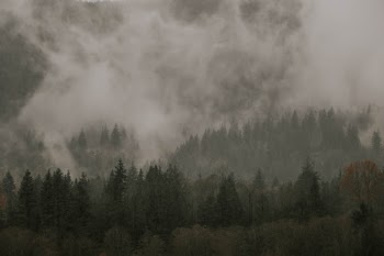Unsplash ID 0lW2zmlDePM