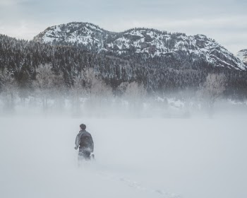 Unsplash ID 0nZycDAA33c