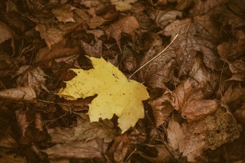 Unsplash ID 0P5B9gn8ZQ8