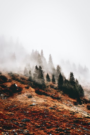 Unsplash ID 0PcviOM6MJ8