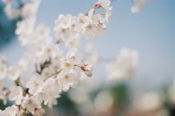 Unsplash ID 0pJ5B6fnBp0