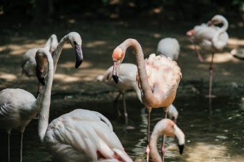 Unsplash ID 0pkqXwtNrTw