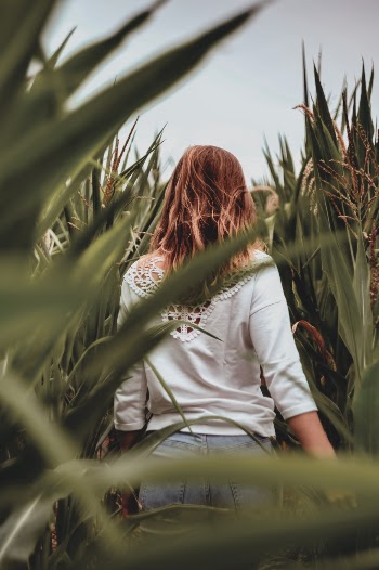 Unsplash ID 0rSTX7dt9Lg