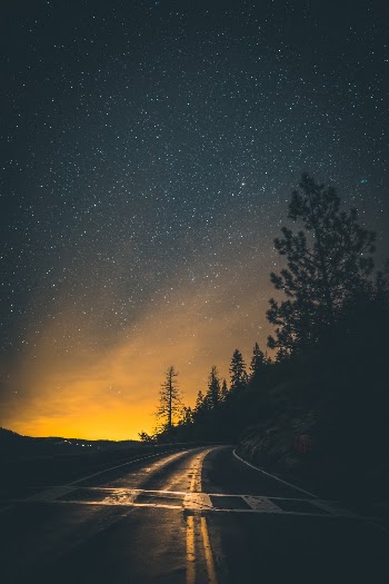 Unsplash ID 0s-LyY_Nm98