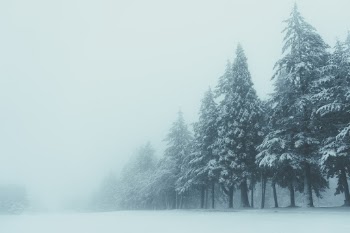 Unsplash ID _0TevBj2F1M