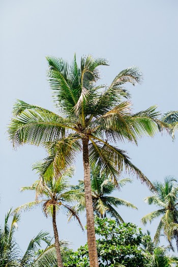 Unsplash ID 0TNl3CbF2XE