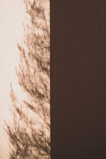 Unsplash ID 0VpsTY474zY