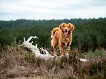 Unsplash ID 0wyjE0FzVm4