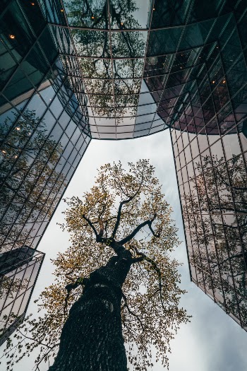 Unsplash ID 0XrRjC72E1g