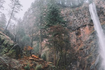 Unsplash ID -0y5-sEON8Q