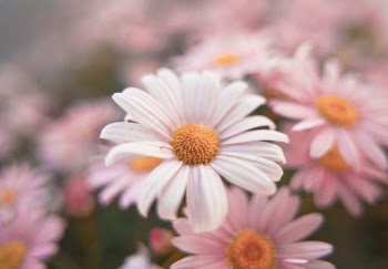 Unsplash ID 0yeDc5fOgu4