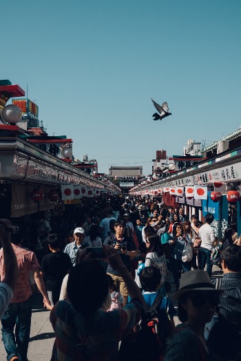 Unsplash ID 0ZYhuVyYewE