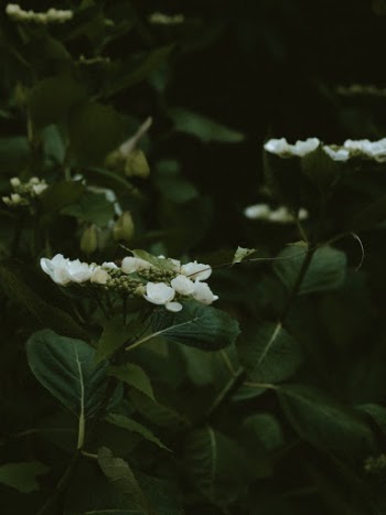 Unsplash ID 1_5J6uHtees