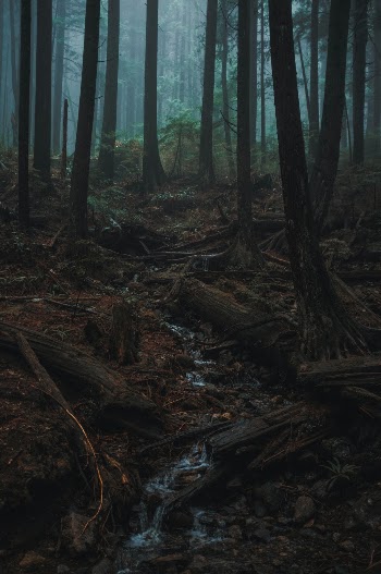 Unsplash ID 1_a_WAqHIUU