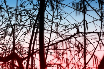 Unsplash ID 13tSYbtTMnw