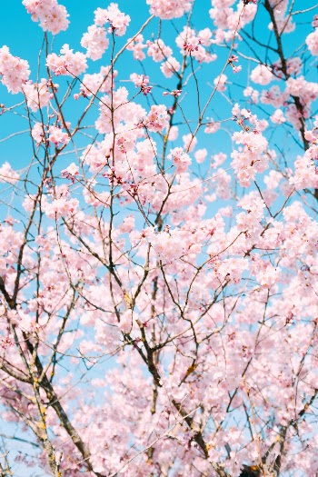 Unsplash ID 18Ln684OEj4