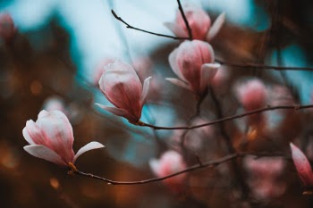 Unsplash ID 18qi31cPjNU