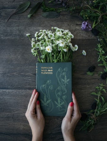 Unsplash ID 1C8wadyJdIU