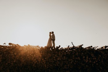 Unsplash ID 1d8Cuqr8iBo