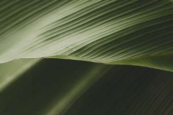 Unsplash ID 1DKAUjCIBEA