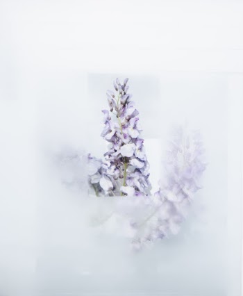 Unsplash ID 1Iri7mPd9RE