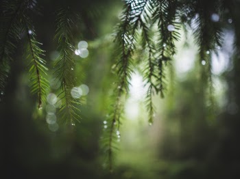 Unsplash ID 1ISY10dzyGQ