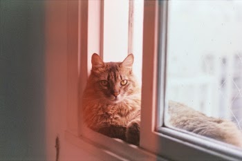 Unsplash ID 1ki5DgVdT8U