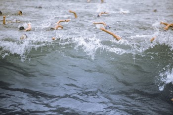 Unsplash ID 1MZ4WkfgxIk