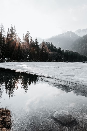 Unsplash ID 1nrSswUzRZo