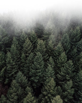 Unsplash ID 1Q9whdktZNU