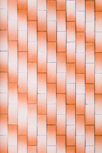 Unsplash ID 1Qw9RfL-toU