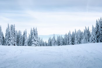 Unsplash ID 1t6K4S2r5kU