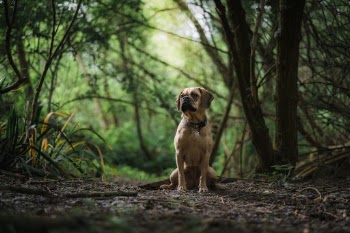 Unsplash ID 1VQVUiR9Kuo