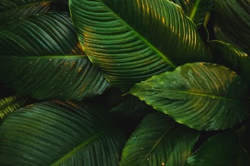 Unsplash ID 1y-ylJyX318