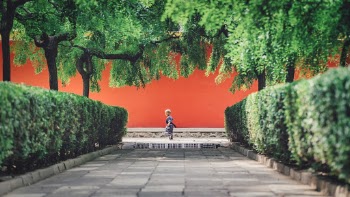 Unsplash ID 226S2DkG1NY