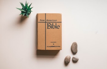 Unsplash ID 25LI4onl_9s