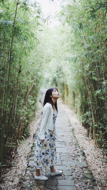 Unsplash ID 29eUkI4lExQ