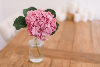Unsplash ID 29O0y3DXgbg